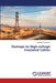 Damage to High-voltage Insulated Cables by Zailobiddin Boihanov