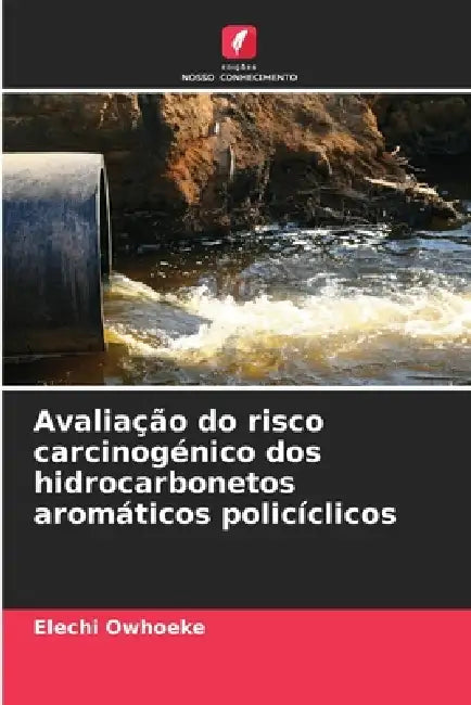 Avaliação do risco carcinogénico dos hidrocarbonetos aromáticos policíclicos by Elechi Owhoeke