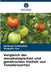 Vergleich der morphologischen und genetischen Vielfalt von Tomatensorten by Ambreen Zafarullah, Shagufta Naz