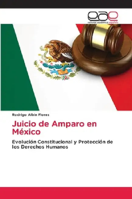 Juicio de Amparo en México by Rodrigo Albin Flores