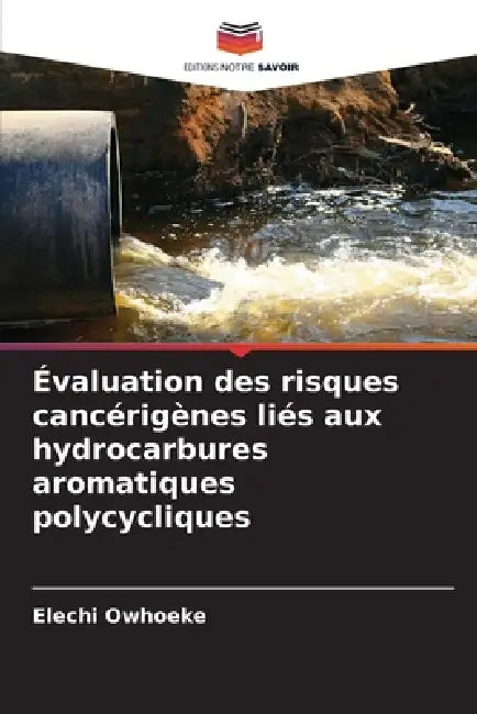 Évaluation des risques cancérigènes liés aux hydrocarbures aromatiques polycycliques by Elechi Owhoeke