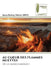 Au Coeur Des Flammes Muettes by Joana Daltrey Fabrice Moul
