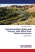 Communication Styles and Therapy with Wind River Native Americans by Stacy Montaigne Aucoin