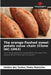 The orange-fleshed sweet potato value chain (Clone IAC-1063) by Idelton Dos Santos Pedro Matsinhe