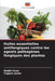 Huiles essentielles antifongiques contre les agents pathogènes fongiques des plantes by Riddhi Patel, Yogesh Jasrai
