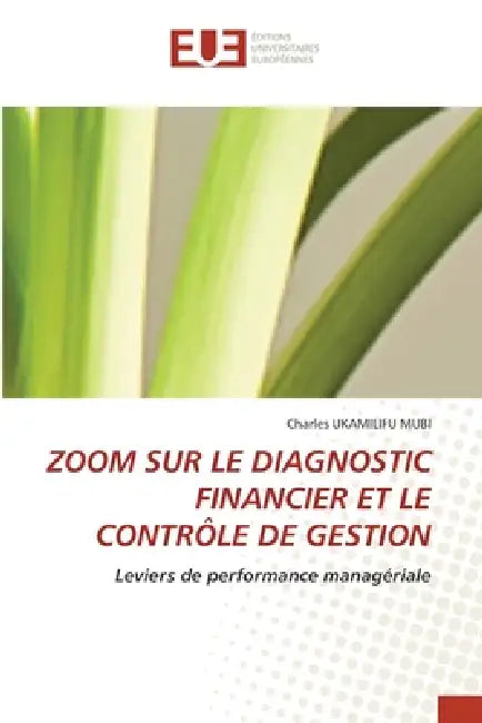 Zoom Sur Le Diagnostic Financier Et Le Contrôle de Gestion by Charles Ukamilifu Mubi