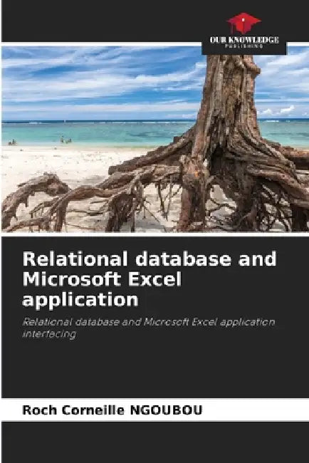 Relational database and Microsoft Excel application by Roch Corneille Ngoubou