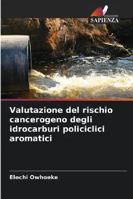 Valutazione del rischio cancerogeno degli idrocarburi policiclici aromatici by Elechi Owhoeke