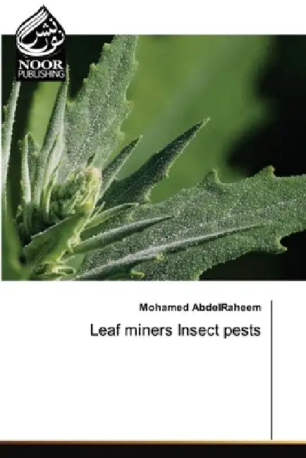 Leaf miners Insect pests by Mohamed Abdelraheem