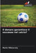 Il denaro garantisce il successo nel calcio? by Martin Milenovský