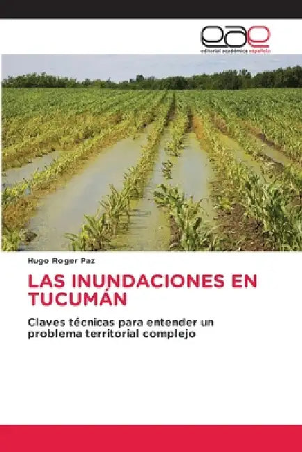 Las Inundaciones En Tucumán by Hugo Roger Paz
