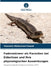 Fadenwürmer als Parasiten bei Eidechsen und ihre physiologischen Auswirkungen by Yassmin Mohamed Foaud