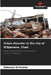 Urban disorder in the city of N'Djamena, Chad by Mahamat Ali Brahim