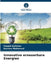 Innovative erneuerbare Energien by Fouad Soliman, Karima Mahmoud