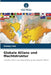 Globale Allianz und Machtstruktur by Sunny Lee