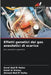 Effetti genetici dei gas anestetici di scarico by Amal Abd El Hafez, Ezzat El Dreiny, Ahmad Abd El Hafez