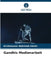 Gandhis Medienarbeit by Krishnaveer Abhishek Challa