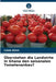 Überstehen die Landwirte in Ghana den saisonalen Tomatenanbau? by Caleb Attoh