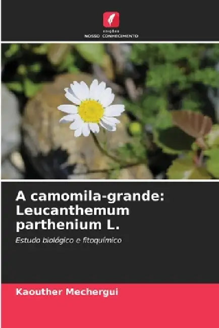 A camomila-grande: Leucanthemum parthenium L. by Kaouther Mechergui