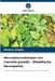 Neuropharmakologie von Coccinia grandis - Diabetische Neuropathie by Bhaskar Nagilla