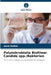 Polymikrobielle Biofilme: Candida spp./Bakterien by Amel Halimi