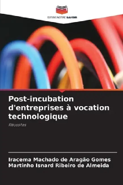 Post-incubation d'entreprises à vocation technologique by Iracema Machado de Aragão Gomes, Martinho Isnard Ribeiro de Almeida