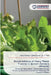 Bioremediation of Heavy Metals Toxicity in Spinach (Spinacia oleracea) by Arpita Padhiyar, Dileep Kumar, K. C. Patel
