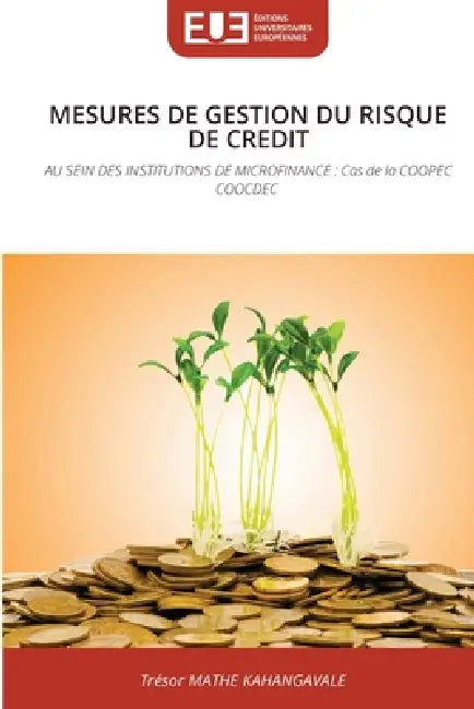 Mesures de Gestion Du Risque de Credit by Trésor Mathe Kahangavale