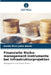 Finanzielle Risiko-management-instrumente bei Infrastrukturprojekten by Amolo Elvis Juma Amolo
