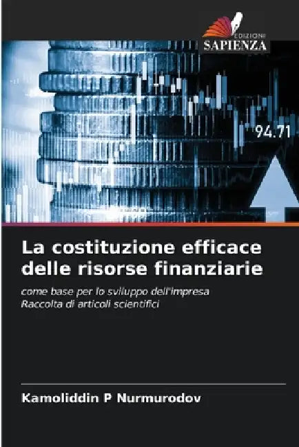 La costituzione efficace delle risorse finanziarie by Kamoliddin P. Nurmurodov
