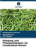 Düngung und Pflanzenstandort für Clusterbean-Sorten by Satyakumari Sharma, Rahul Sharma, G. S. Rawat