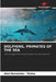Dolphins, Primates of the Sea by Abel Hernandez -. Muñoz