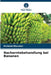Nacherntebehandlung bei Bananen by Richard Macwan
