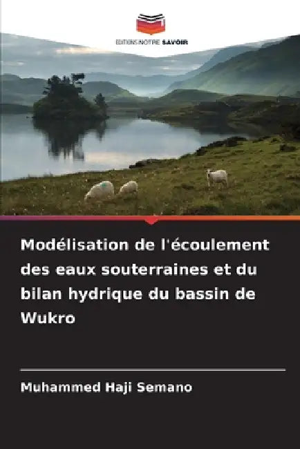 Modélisation de l'écoulement des eaux souterraines et du bilan hydrique du bassin de Wukro by Muhammed Haji Semano