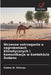 Wczesne ostrzeganie o zagrożeniach klimatycznych i komunikacja w kontekście Sudanu by Zablon W. Shilenje