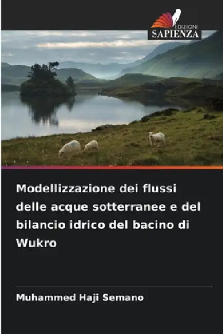 Modellizzazione dei flussi delle acque sotterranee e del bilancio idrico del bacino di Wukro by Muhammed Haji Semano