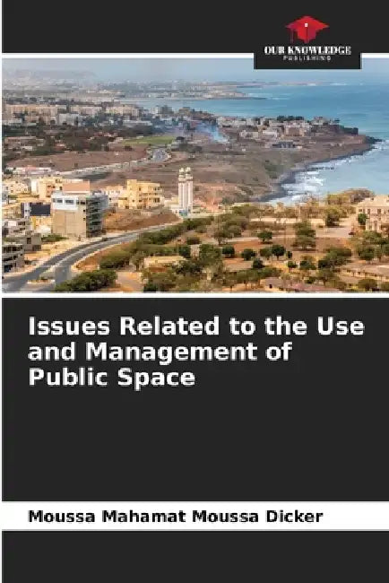 Issues Related to the Use and Management of Public Space by Moussa Mahamat Moussa Dicker