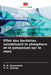 Effet des bactéries solubilisant le phosphore et le potassium sur le maïs by K. N. Basavesha, V. P. Savalgi