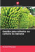 Gestão pós-colheita na cultura da banana by Richard Macwan
