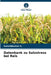 Datenbank zu Salzstress bei Reis by Sureshkumar S