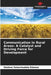 Communication in Rural Areas: A Catalyst and Driving Force for Development by Stefano Raherimalala Etienne