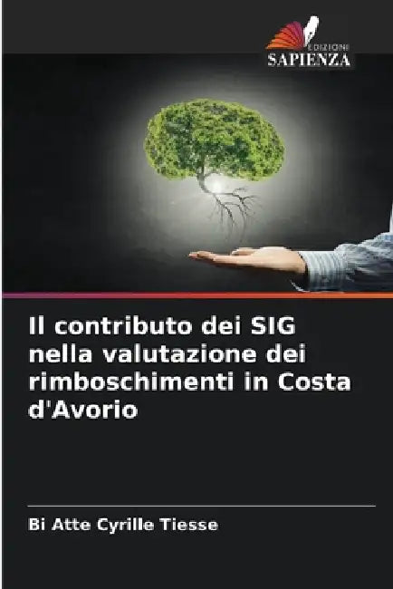 Il contributo dei SIG nella valutazione dei rimboschimenti in Costa d'Avorio by Bi Atte Cyrille Tiesse