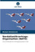 Nordatlantikvertrags-Organisation (NATO) by Nelson Simatovich