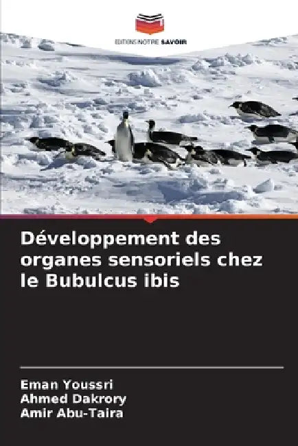 Développement des organes sensoriels chez le Bubulcus ibis by Eman Youssri, Ahmed Dakrory, Amir Abu-Taira