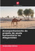 Acompanhamento do projeto de ajuda humanitária no Afeganistão by Shakirullah Akhtar