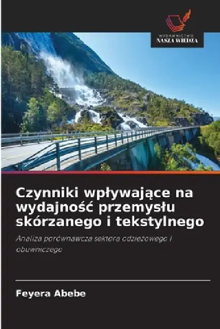 Czynniki wplywające na wydajnośc przemyslu skórzanego i tekstylnego by Feyera Abebe