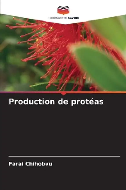 Production de protéas by Farai Chihobvu