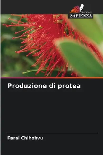 Produzione di protea by Farai Chihobvu