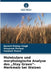 Molekulare und morphologische Analyse des "Stay Green"-Merkmals bei Weizen by Naresh Pratap Singh, Himanshi Paliwal, Vaishali Shami