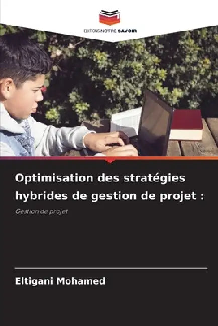 Optimisation des stratégies hybrides de gestion de projet by Eltigani Mohamed